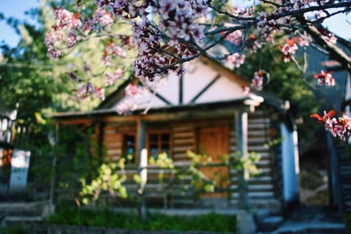 Cabanas Montebello Inn Creel Εξωτερικό φωτογραφία